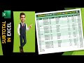 Master Subtotals in Excel🎯Formula vs. Data Tab Tool #excel #subtotal