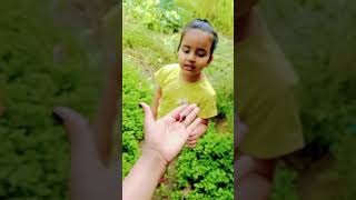 #love #minivlog #minigarden #ytshorts #ytviral #fresh vegetable and fruits