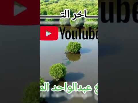 منظومة الإلبيري ــ للشيخ عبدالواحد المغربى عبدالواحد المغربي