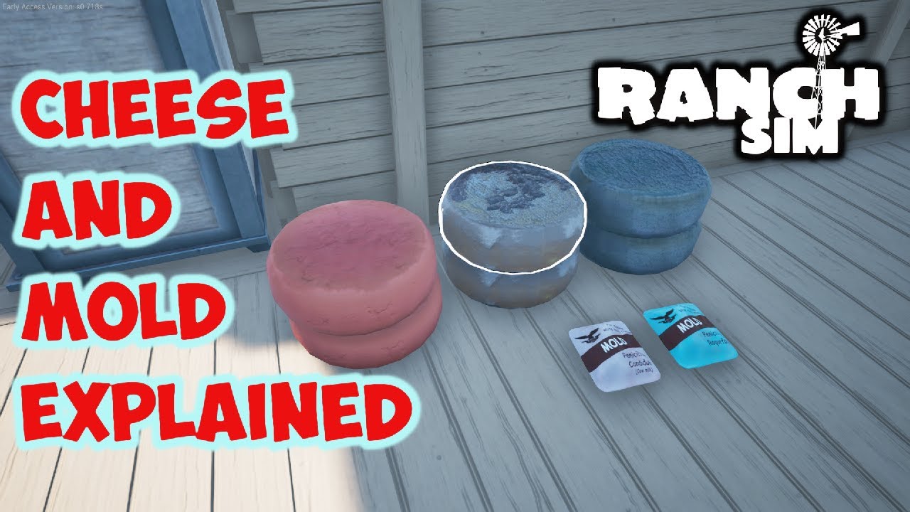 RANCH SIMULATOR CHEESE MOLD YouTube