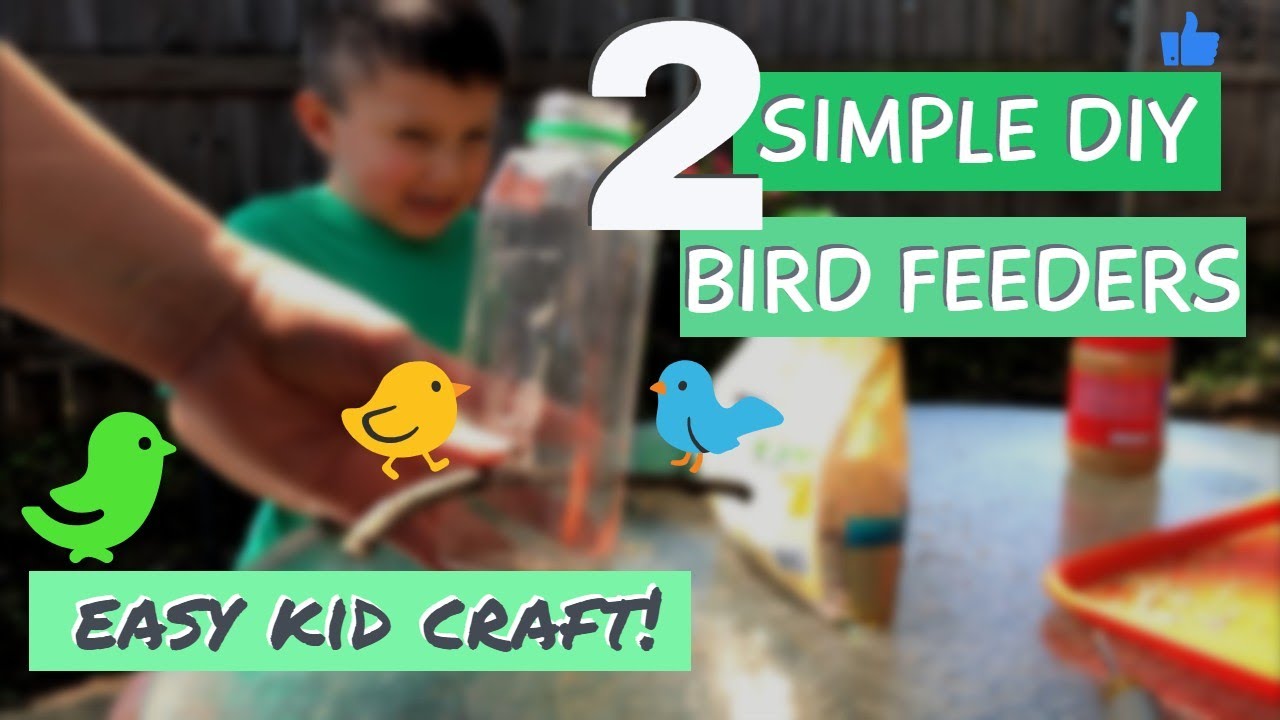 DIY Bird Feeders (Kid Friendly!) / How to Make A Bird Feeder with a