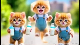 https://youtu.be/hFHeFBoYfno?si=5azzjt0FMVdazJcM