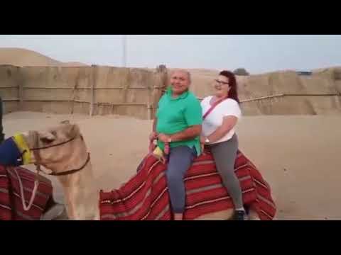 Video: Hoe Om 'n Kameel Te Gebruik Om U Teen 'n Sandstorm Te Beskerm