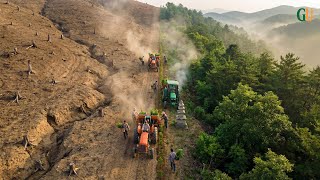 South Korea had NO TREES LEFT — 60 Years Later, It's FULLY FORESTED