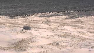 Playing on Kelso Dunes in Mojave Preserve