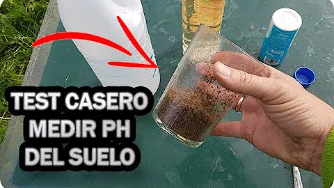 ¿Cuál es la forma más precisa de comprobar el pH del suelo?