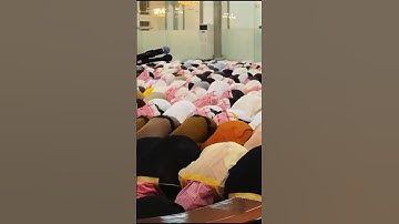 "إن الصلاة تنهى عن الفحشاء والمنكر، | القارئ: عبدالرحمن مسعد"