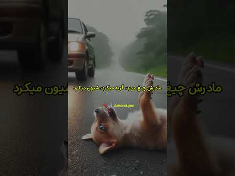 تقاص زندگی