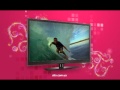 SITV Интернет ТВ 690 грн год SITV Интернет ТВ 690 грн год