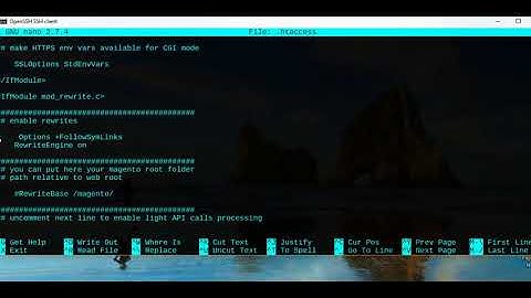 Debian 9 WebMin VirtualMin Error 500 Magento