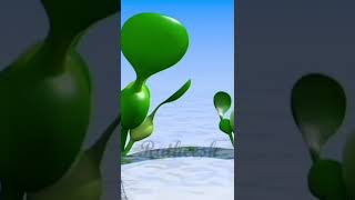 reproduction of eichornia #Shorts #youtubeshorts # trending #reproduction #plants