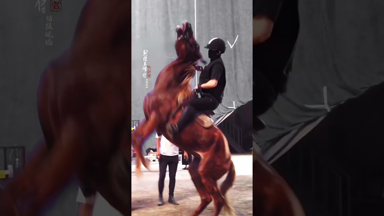 2025.02.12 The Legend of the Condor Heroes |  Training period - Xiao Zhan [ENG SUB] 