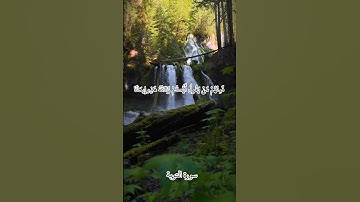 تلاوة خاشعة #القرآن_الكريم #اكسبلور #المصحف #quran #راحة_نفسية