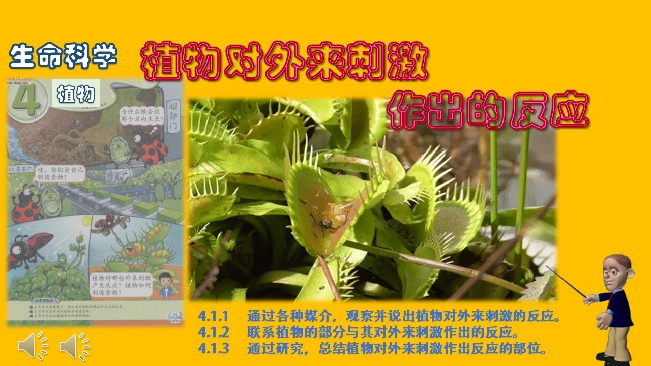 植物对外来刺激作出反应(复习) - YouTube