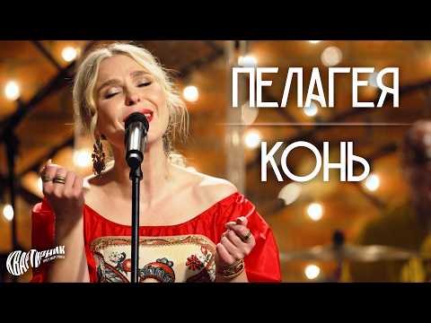 PELAGEYA — The Horse (Kon) • Live at "Kvartirnik u Margulisa" 2026