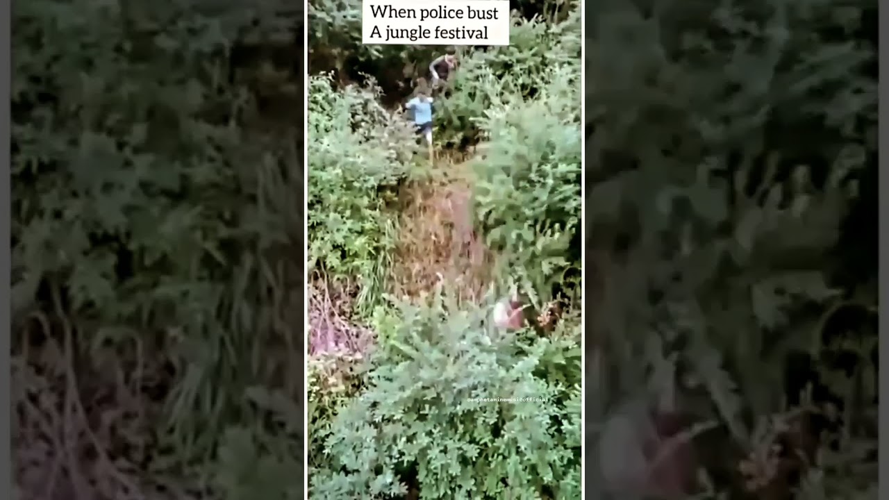 when police bust a jungle festival. psytrance rave party jungle forestdelic nights