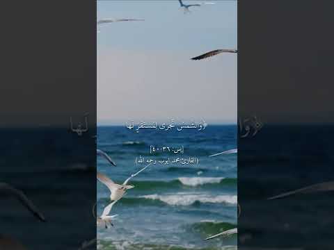 سبحان الذي خلق الأزواج كلها مما تنبت الأرض ومن أنفسهم يس ٣٦ ٤٠ محمد ايوب رحمه الله