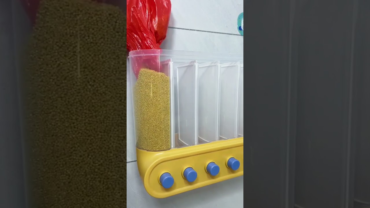 👉Dry Food Dispenser wall mounted🛒 