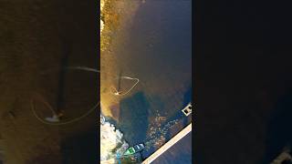 Speycasting: open loop vs closed loop control