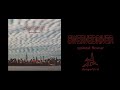 Swervedriver - Spiked Flower
