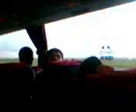 pingüino atacando bus benidorm