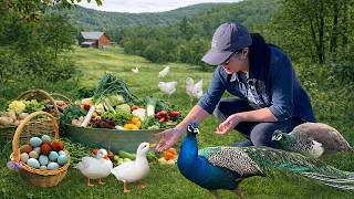 Nature Brings Peace & Joy 🌿 Mindful Spring Days with Organic Gardens, Animals & Cozy Meals