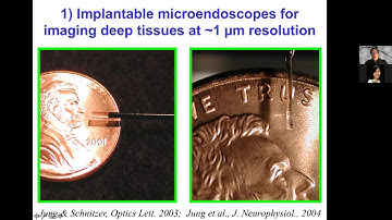 OSC Colloquium: Mark Schnitzer, "Optical imaging of brain dynamics"