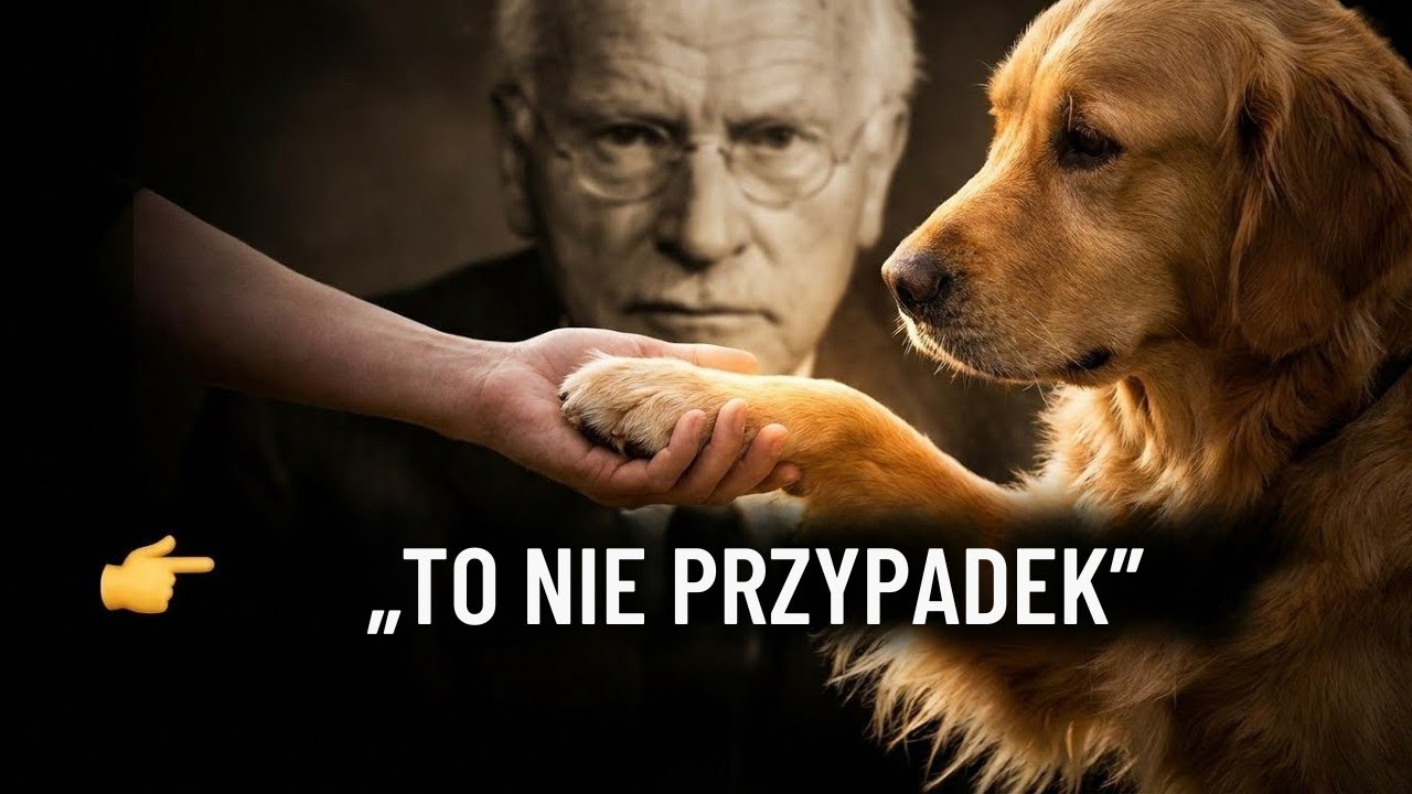 Psychologia osób, które traktują swoje zwierzęta domowe jak dzieci | Carl Jung