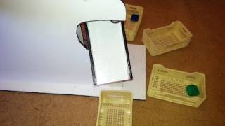 Sorting colors using LabVIEW and Arduino