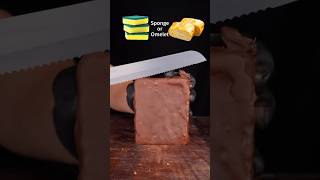 Sponge Or Omelette ?