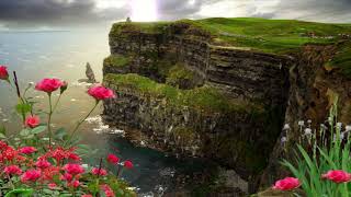 🌞 Good Morning Status with 🎼 song | 🌞 Good morning whatsapp video | 🌞Morning whatsapp 🎧 🌅 🌄 screenshot 2