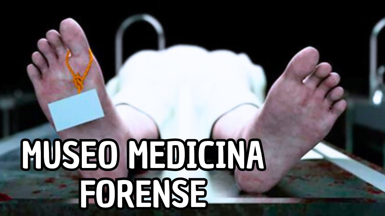 😮 Entramos al Museo del Instituto Médico Legal