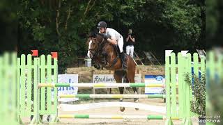 Show jumper / Hunter for sale in Germany Hannoverian gelding, *2017, by Chigaru - Almaz