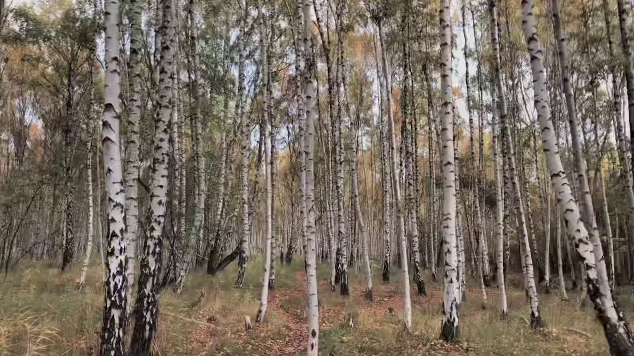 Overnatning på Kalvebod Fælled