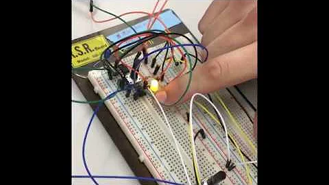 BME 310 Bench Exam 2 Video- Belsito, Honke, Miller
