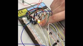 BME 310 Bench Exam 2 Video- Belsito, Honke, Miller