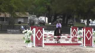 Video Of Cavotti Ridden By Lindsay Simmons From Shownet