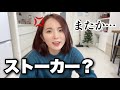 今年も怪しい箱が届きました…
