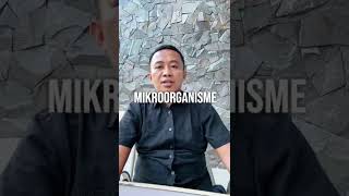 Manfaat Pembenah Tanah Untuk Tanah Dan Tanaman pertanian berkebun petani pembenahtanah