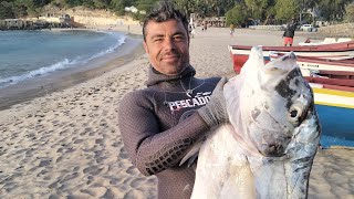 African pompano 21kgs 