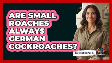 Are Small Roaches Always German Cockroaches?