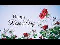 EP 269 Rose Day, celebrated on February 7th marks the beginning of Valentine Week