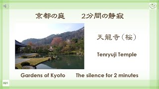 京都の庭 日本庭園021 桜咲く天龍寺 Japanese Zen Garden In Kyoto Tenryuji Temple Healing Youtube 京都の庭 日本庭園021 桜咲く天龍寺 Japanese Zen Garden In Kyoto Tenryuji Temple Healing Youtube