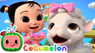 Baby Animals Dress Up! | Cece Time | Cocomelon Kids Songs & Nursery Rhymes