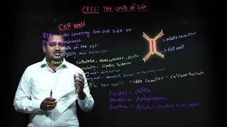 CBSE XI LESSON 08 CELL THE UNIT OF LIFE CELL WALL PART 06 | BRAINBOX SCHOOL
