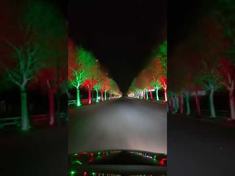 نغمة اغنية طفاج القدر يا شمعتي حالات واتس اب