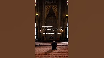 يا أيها الذين آمنوا اركعوا واسجدوا | القارئ عبدالرحمن مسعد قرآن كريم #قرآن #عبدالرحمن_مسعد