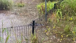 Flash flooding forces Australian Reptile Park to close
