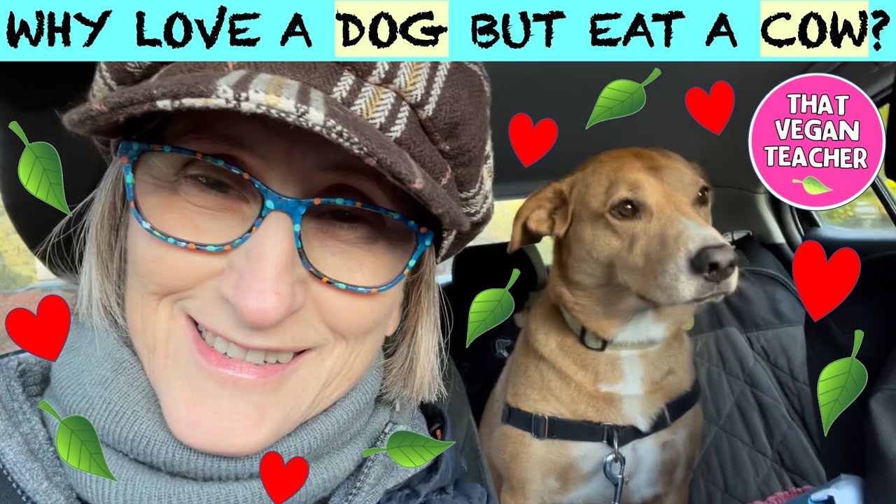 Bella Vegan Dog Goes To The Dog Park. YouTube