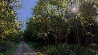 German Forest Hiking Trails | 🤩 Beautiful Autumn Loop near Aystetten | 4K Virtual Exploration Tour